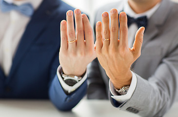 Image showing close up of male gay couple with wedding rings on