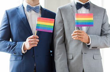 Image showing close up of male gay couple holding rainbow flags