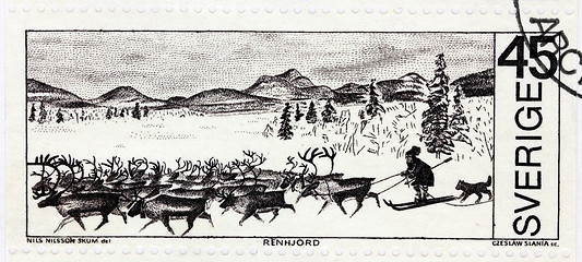 Image showing Reindeer Herd