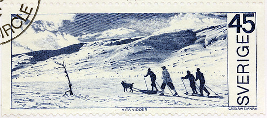 Image showing Winter Landscape