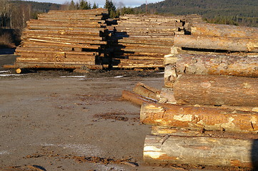 Image showing Lumber