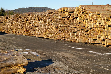 Image showing Log piles