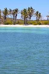 Image showing isla contoy   in mexico froath and blue  foam  the  