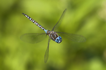 Image showing Midair