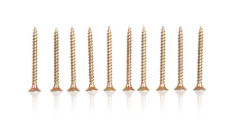 Image showing Row of metal screws