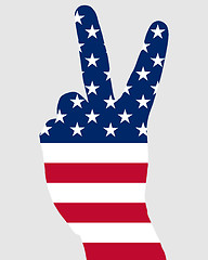 Image showing american finger sign 