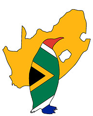 Image showing Penuin South Africa