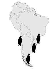 Image showing Magellanic penguin range