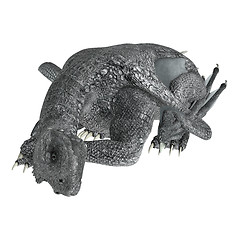 Image showing Sleeping Dragon