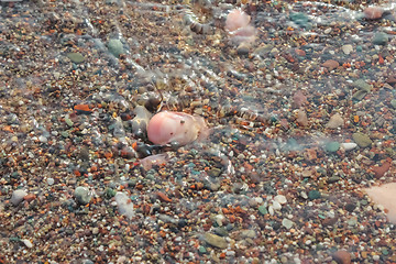 Image showing Feet in the Beach