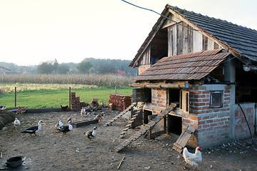 Image showing Hen house