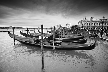 Image showing Gondolas in front of Riva degli Schiavoni bw