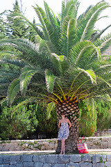 Image showing Young woman is standing near palm tree