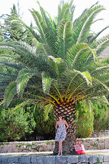 Image showing Young woman is standing near palm tree