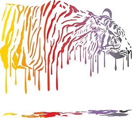 Image showing Tiger, Abstract Color Painting On A White Background