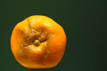 Image showing rotten orange