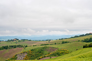 Image showing Green hill under sky filled with clouds in Tuscany