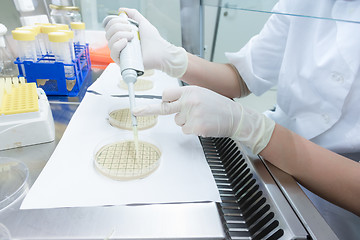 Image showing Life science researcher grafting bacteria.