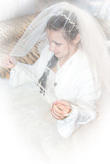 Image showing Bridal veil