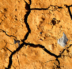 Image showing  a broke star dry sand and lichens 