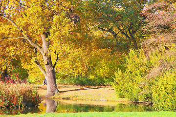 Image showing Sunny path in park