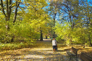 Image showing Sunny path in park