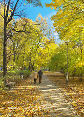 Image showing Sunny path in park