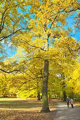 Image showing Sunny path in park