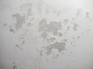 Image showing Damp moisture