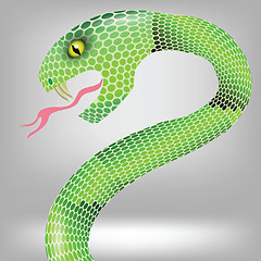 Image showing green snake