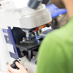 Image showing Scientist microscoping on fluorescent microscope. 