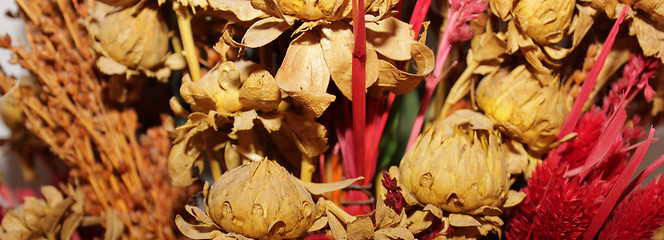 Image showing dried flowers