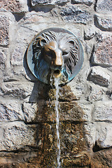 Image showing Street faucet with a lion head