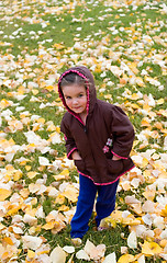 Image showing Autumn Child