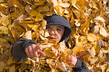 Image showing Autumn Boy