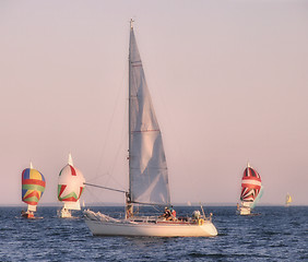 Image showing Evening sailing
