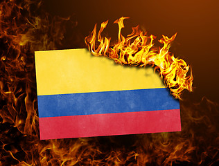 Image showing Flag burning - Colombia