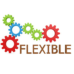 Image showing Flexible gear