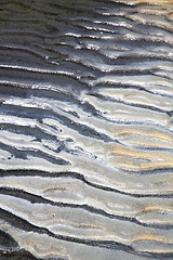 Image showing sand   the beach abstract thailand kho  