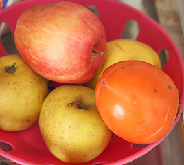 Image showing Apple fruit