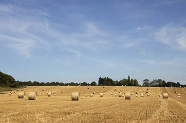 Image showing Golden fields