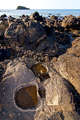 Image showing     madagascar    seaweed in indian  isle  sky and rock 