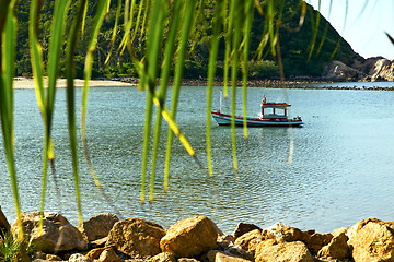 Image showing asia in  kho phangan   palm and south china sea 