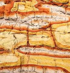 Image showing   stone and lichens 