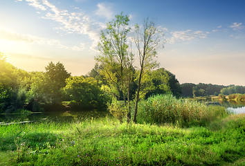 Image showing Calm backwater