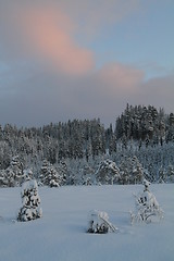 Image showing Winter sunset