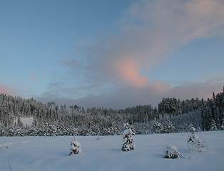 Image showing Winter sunset