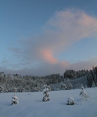 Image showing Winter sunset