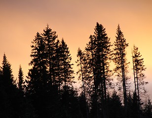 Image showing Sunset 