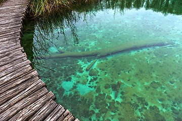 Image showing Wooden path trough the lakes